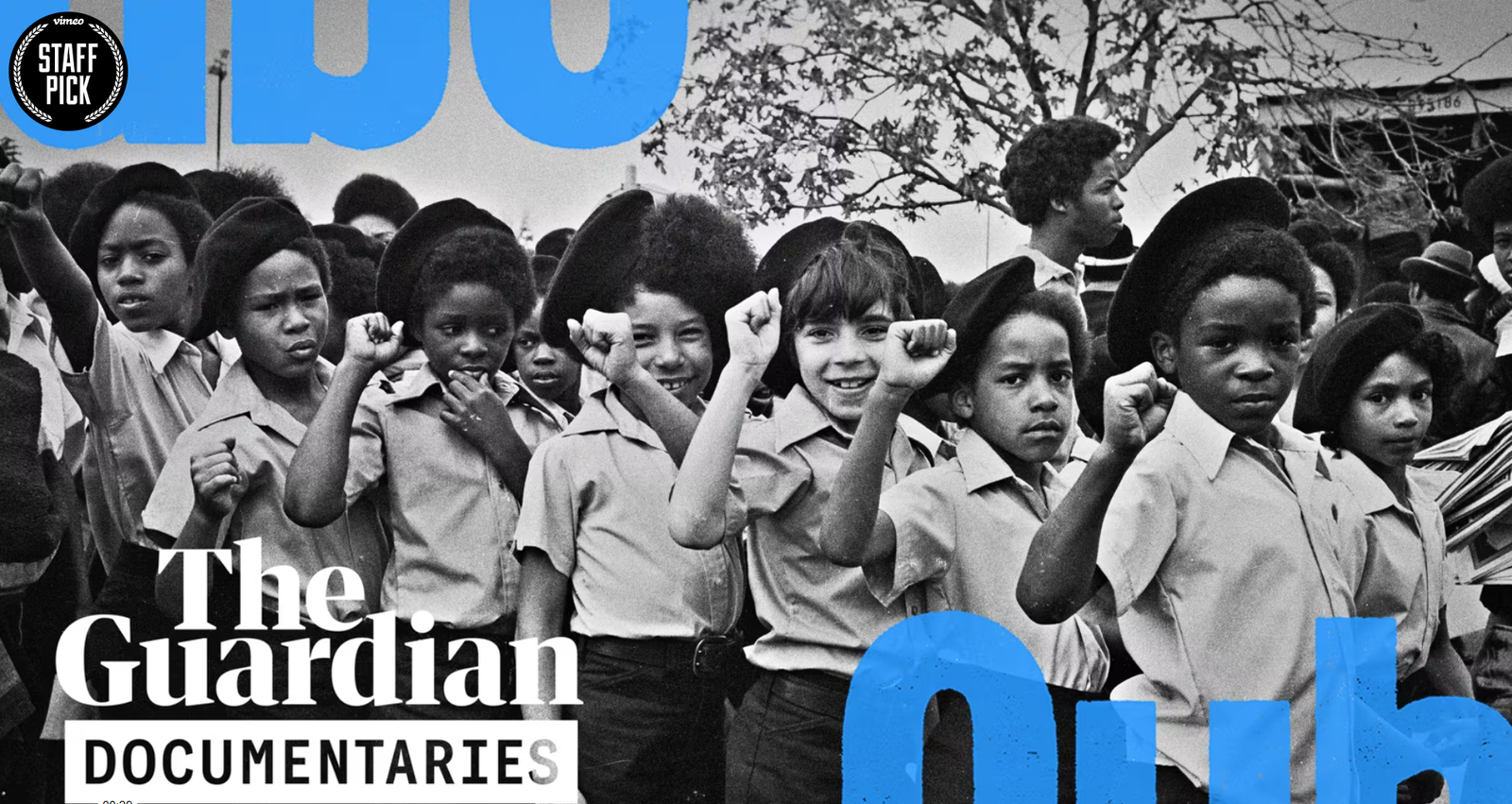 The Black Panther Cubs